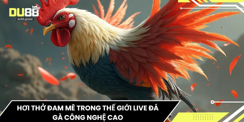 Hơi thở đam mê trong thế giới live đá gà công nghệ cao