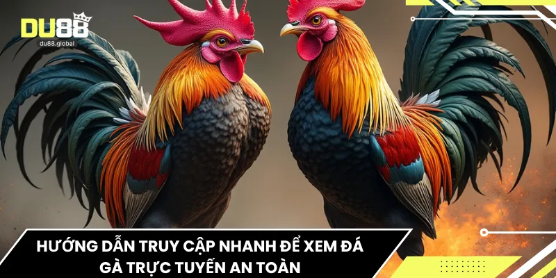 Hướng dẫn truy cập nhanh để xem đá gà trực tuyến an toàn
