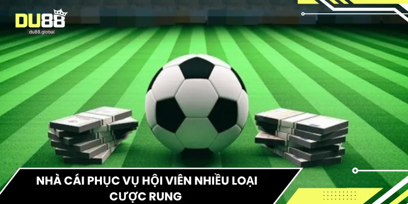 Nhà cái phục vụ hội viên nhiều loại cược rung 