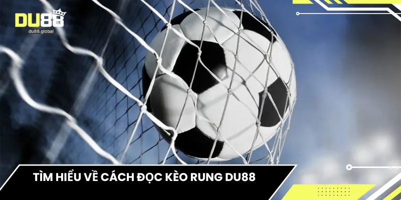 Tìm hiểu về cách đọc kèo rung DU88